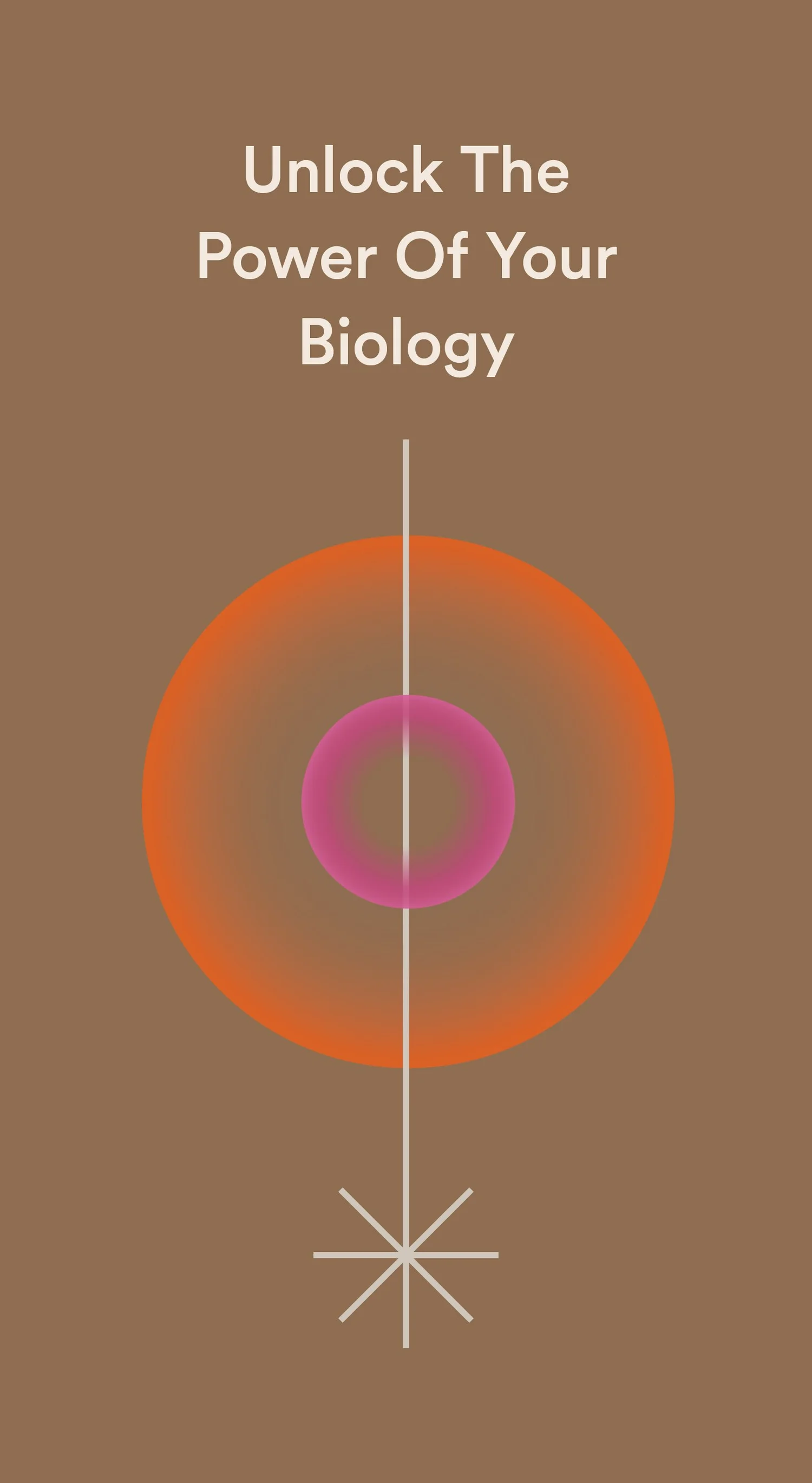 Mimio — project image 7