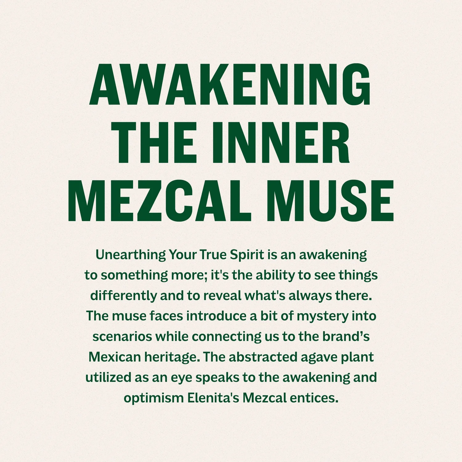 Elenita Mezcal — project image 2