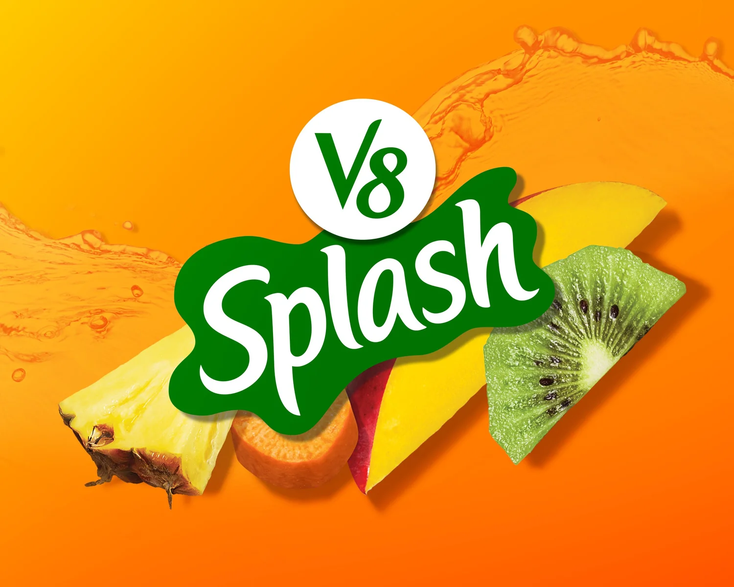 V8 — project image 23