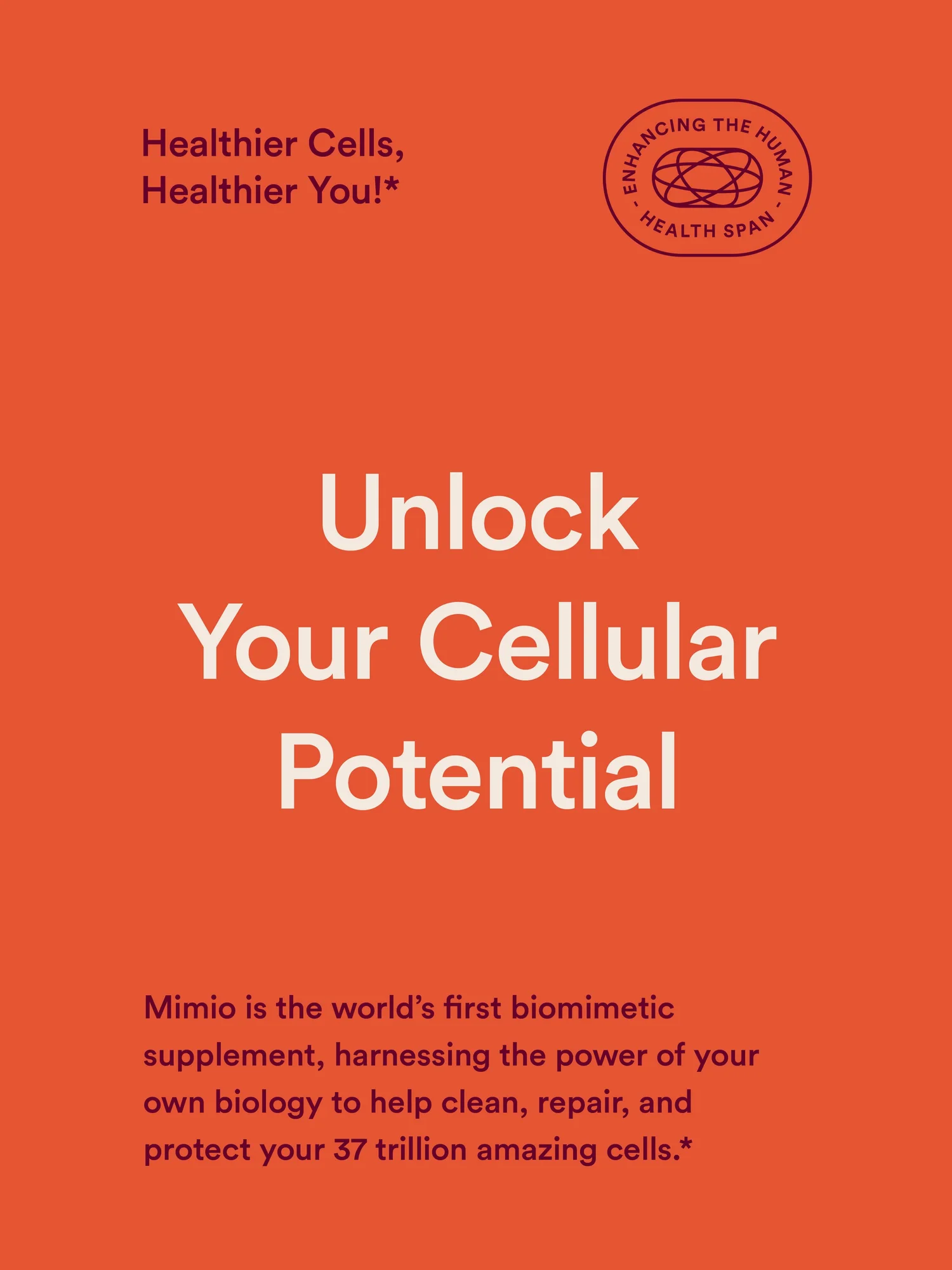 Mimio — project image 3