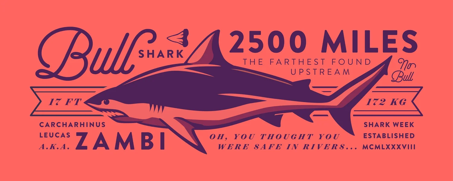 Licensing Artwork — project image 13