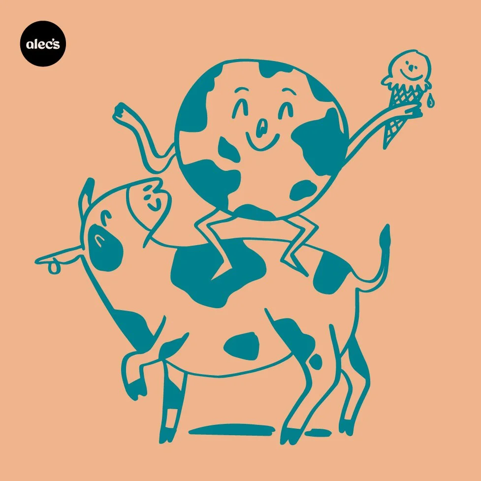 Alec's Ice Cream — project image 30