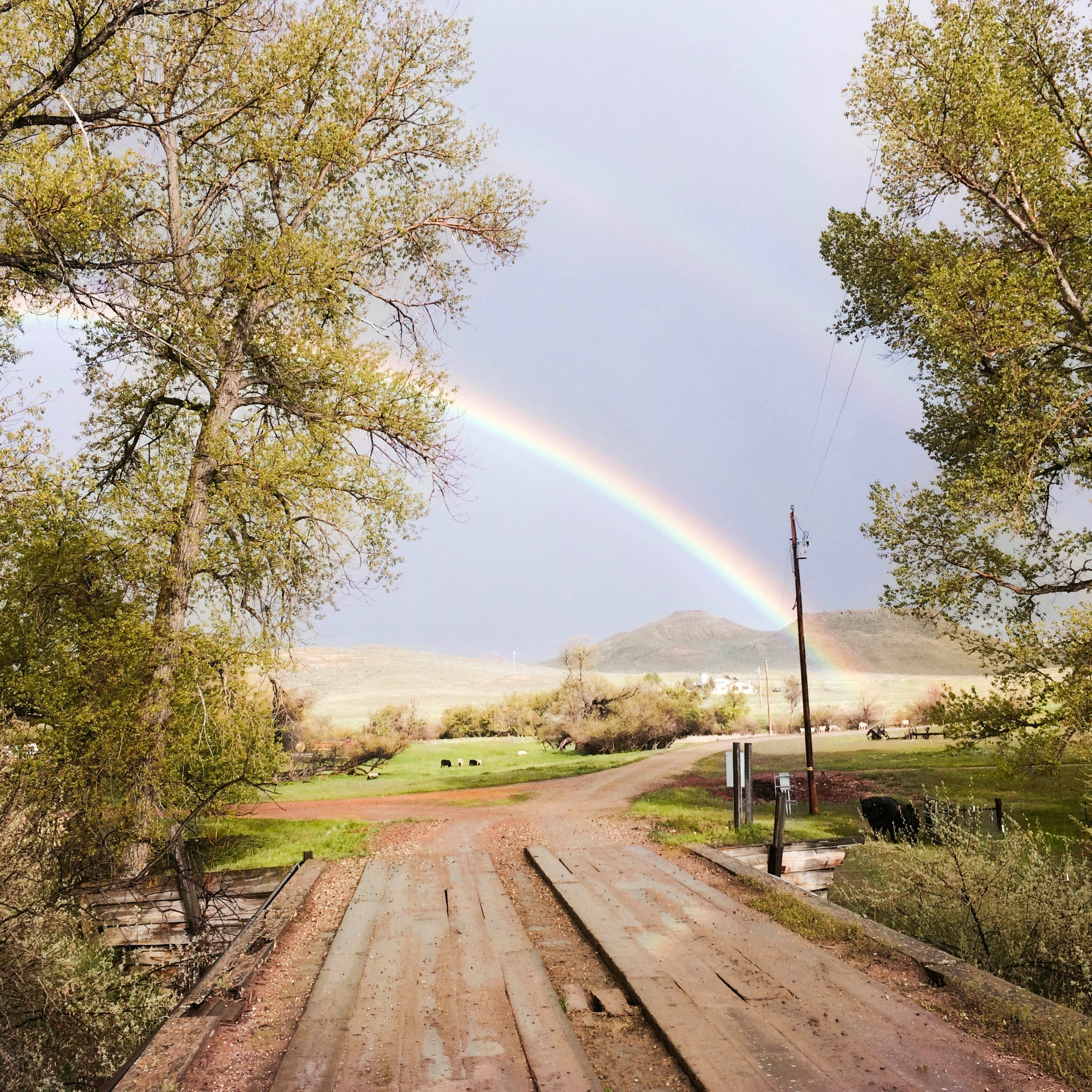 rainbow_edit_square.jpg