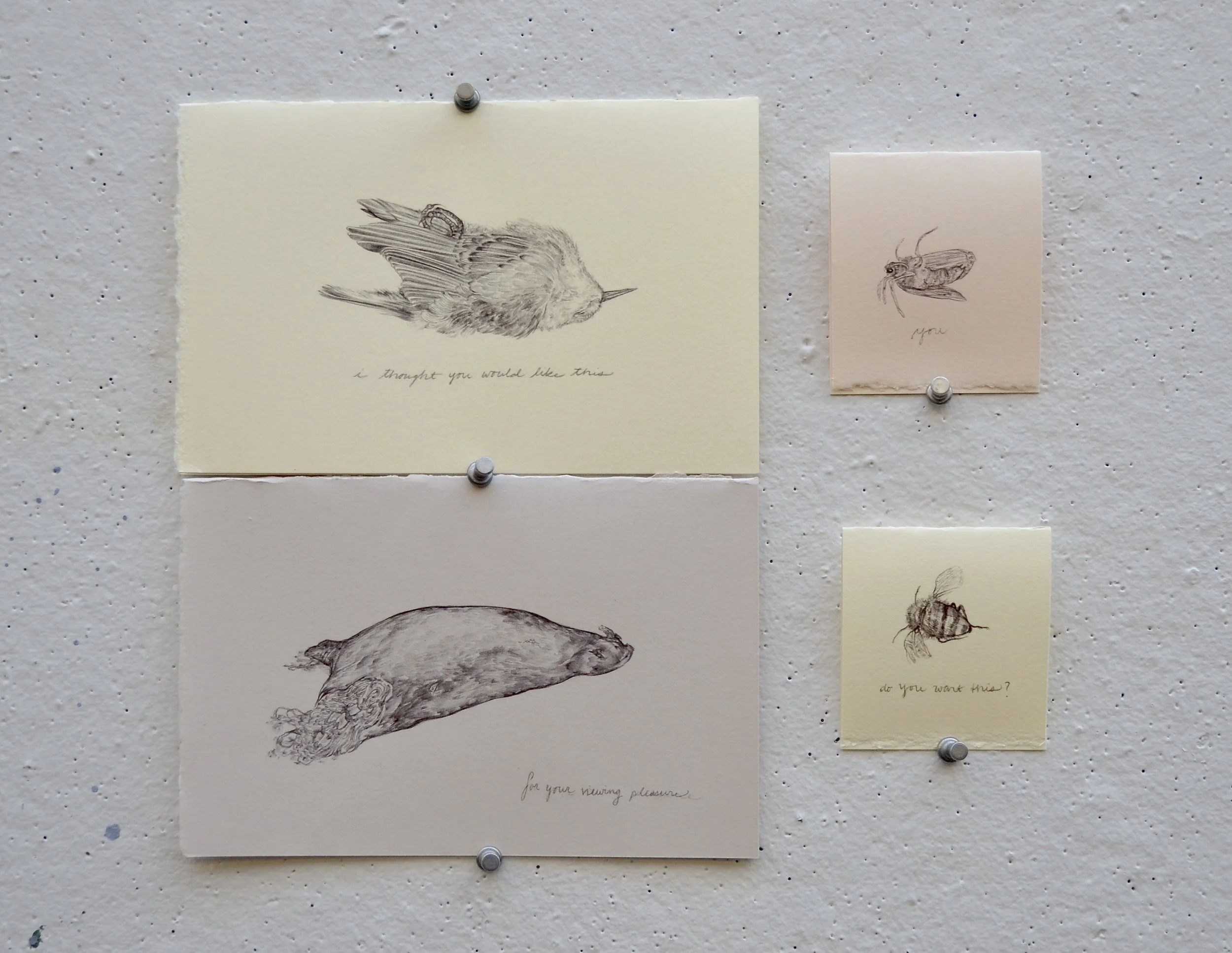 Your Finds greeting cards, 4 0f 20 designs, ballpoint