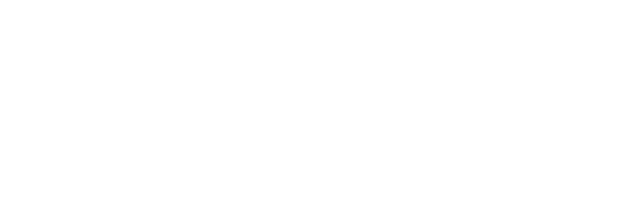 Ballpoint Pen-logo-white (2).png