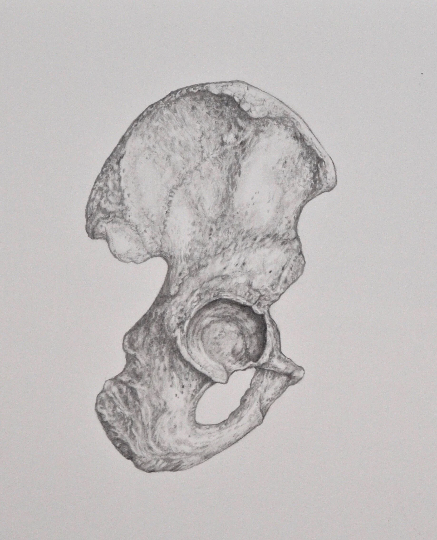 DSC_0009 copy (1).jpg