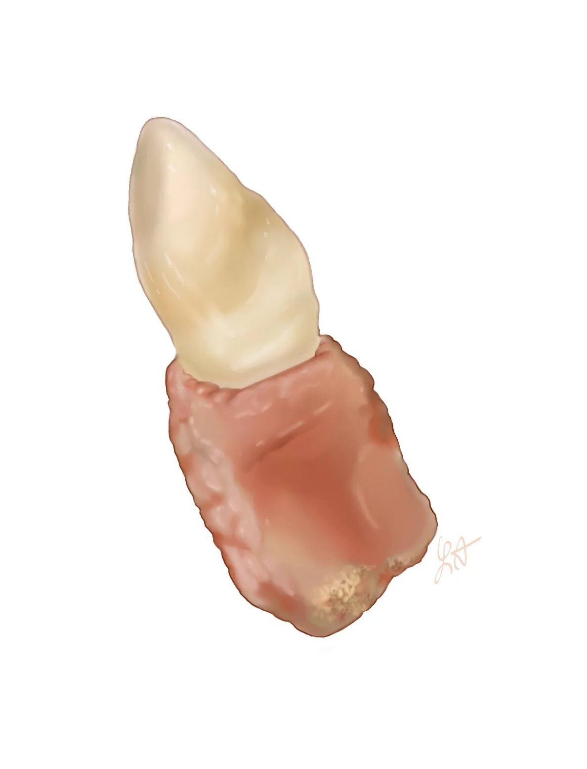 Screenshot (67)_LI.jpg