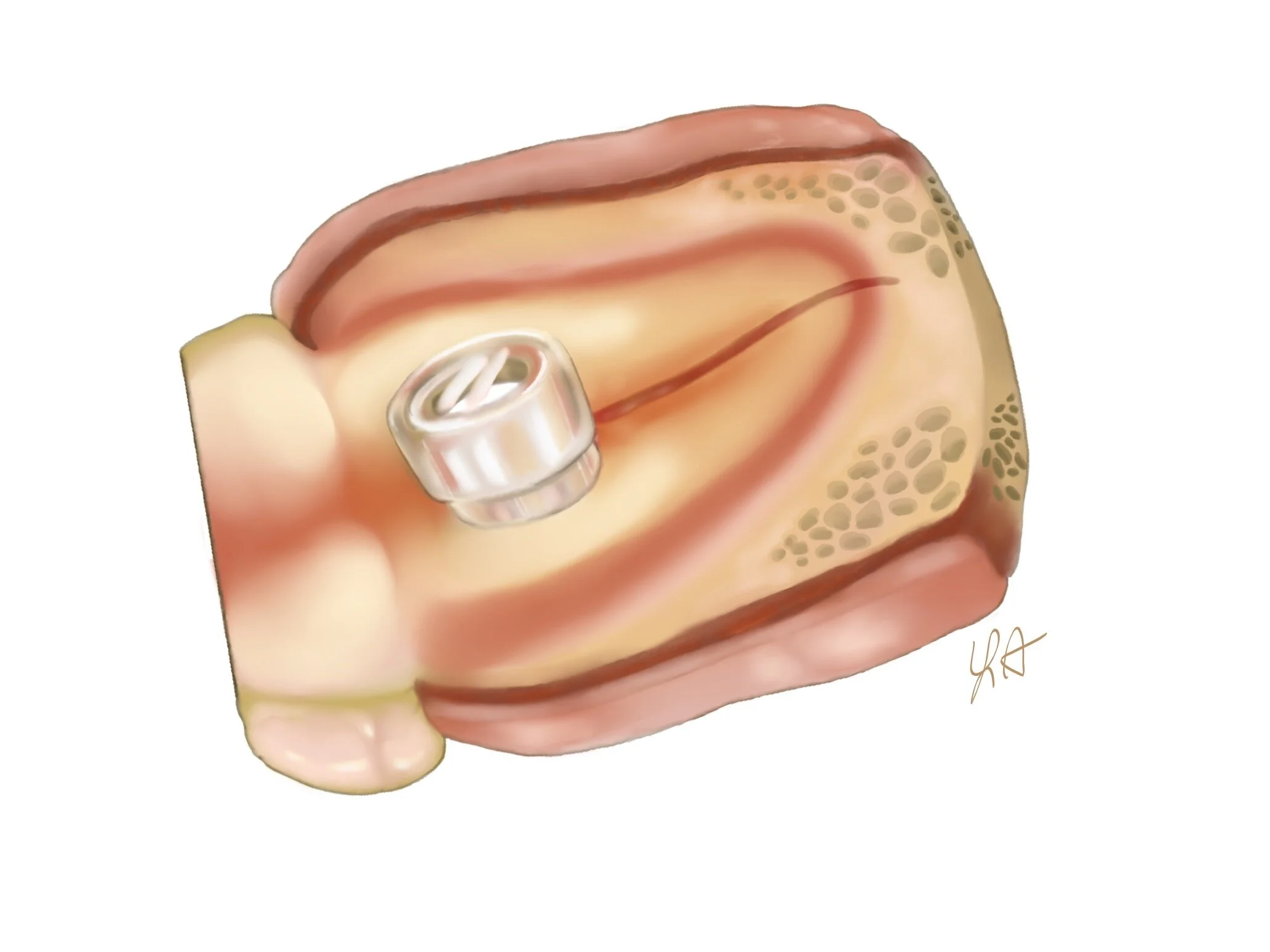 Screenshot (65)_LI.jpg