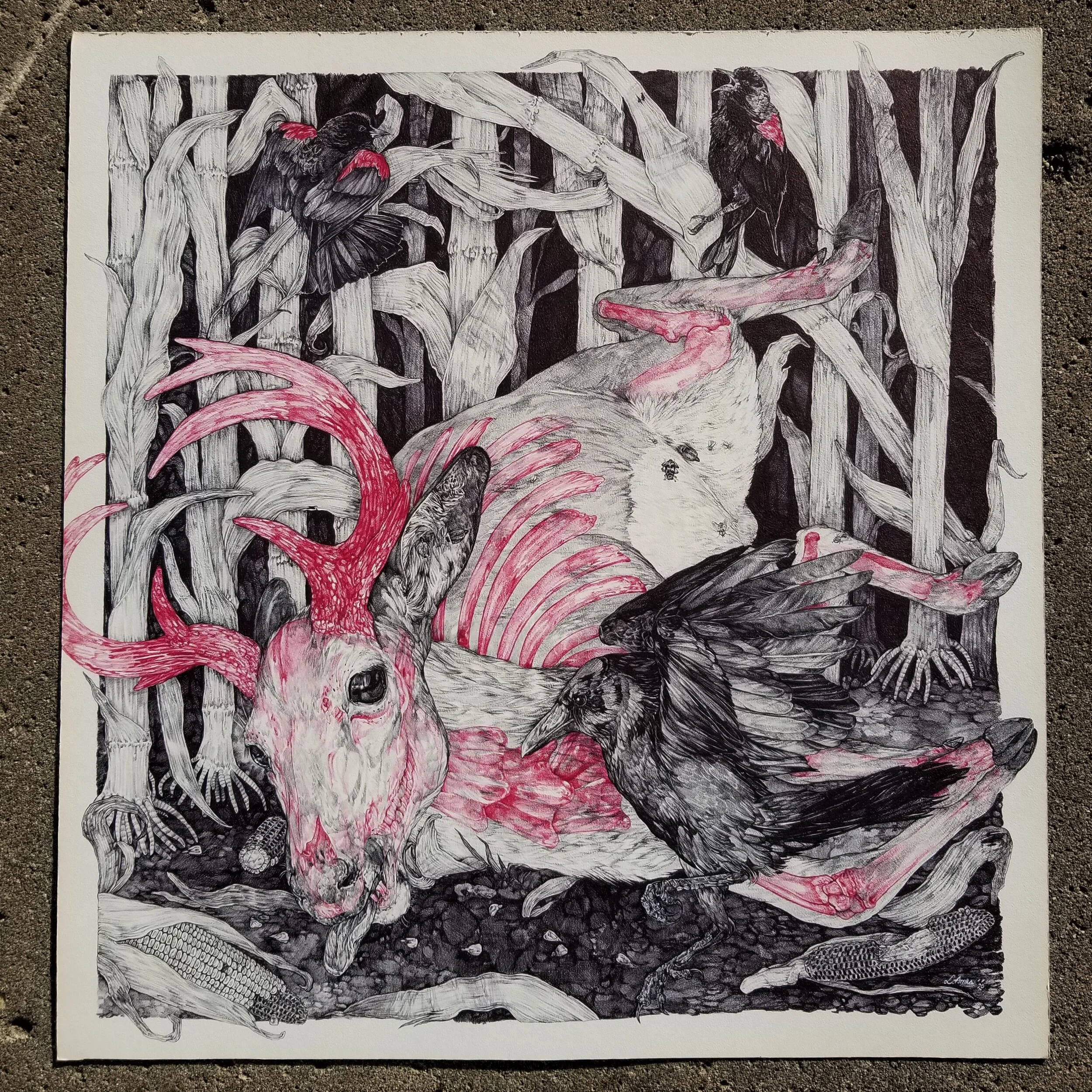 Lexi Ames_Husk_Image1.jpg