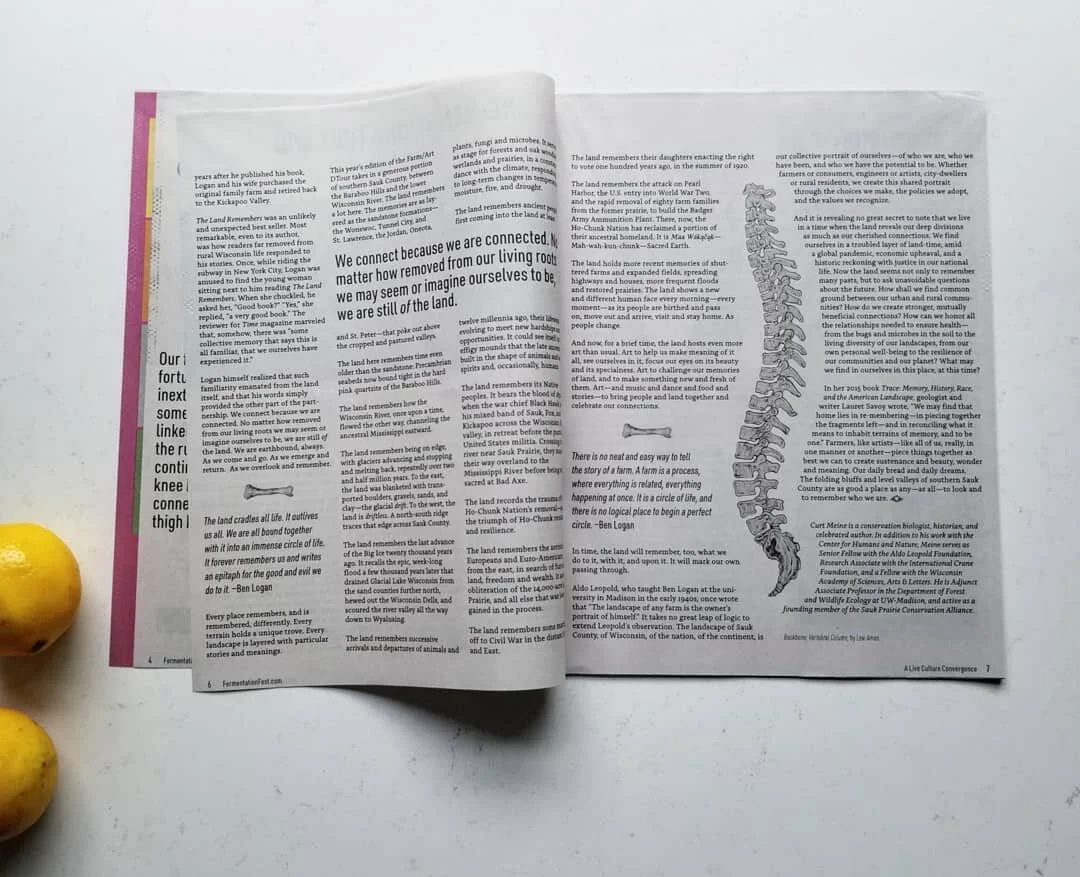 I was honored to do some boney illustration work for this year's D-Tour Guide, and absolutely love how the drawings were incorporated (kudos to @adunate for the design work! )🌱🦴🌱 D-Tour 2020 is coming up soon! Pop in your car Sept. 26th-Oct 4th, g