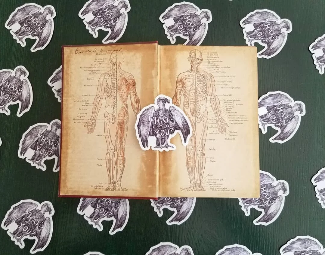 EDIT: THEYRE UP, BABYBYYYY 🐜 Stickers are HERE 🐜 Griffin Vulture "What's Eating You?" design going live on the site this week. Keep an eyeball out!

#stickermule #stickers #scienceillustration #vulture #vultureculture