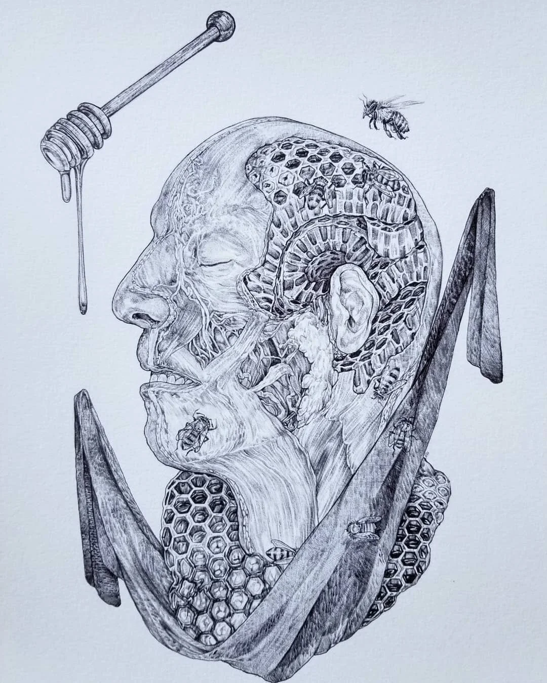 🐝🍯Go Tell the Bees🍯🐝
Ballpoint Pen &bull; Prints available later this Autumn &bull; Based on the Celt tradition which eventually spread throughout the UK, Canada, and Appalachian US, 'Go Tell the Bees' is a nod to sending a messenger to the famil