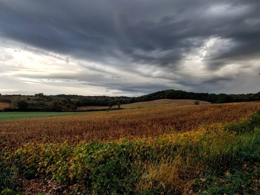I took a pilgrimage to see some divine places, people, and art in the Driftless region of Wisconsin, where I was a resident artist last year. It was a beautiful reflective little drive through the Wormfarm Institute's D-Tour, a 50 mile loop of art an