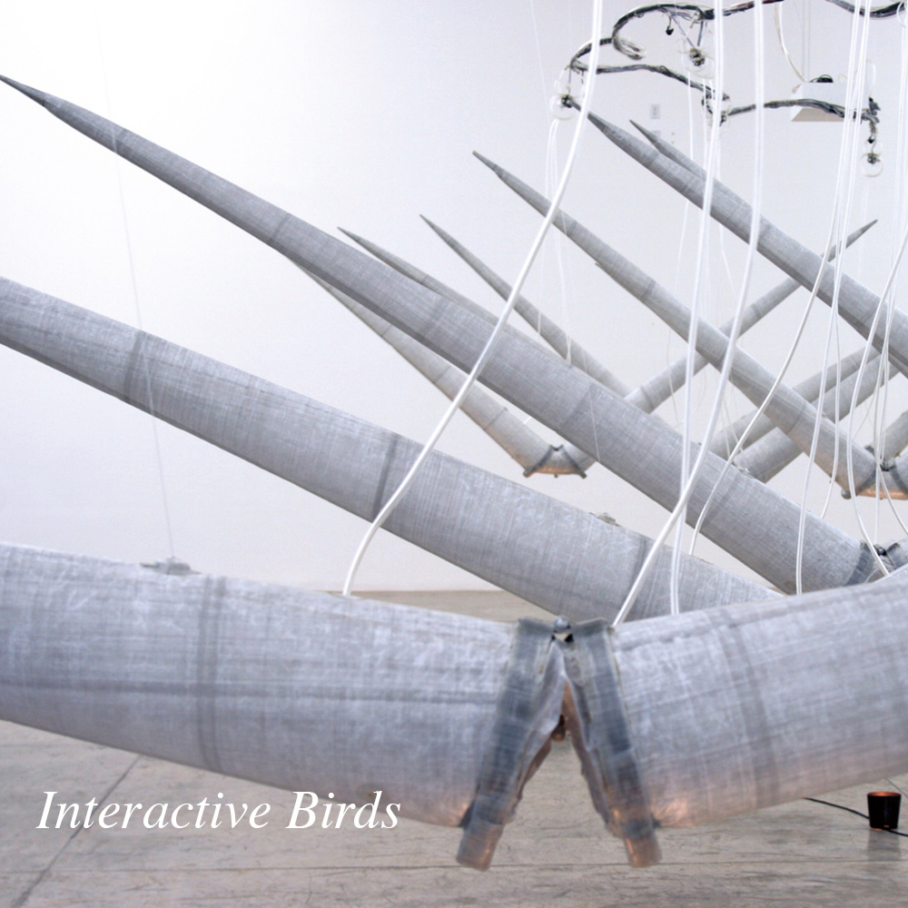 Interactive Birds