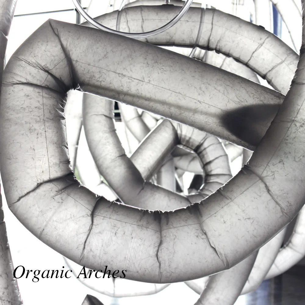 Organic Arches
