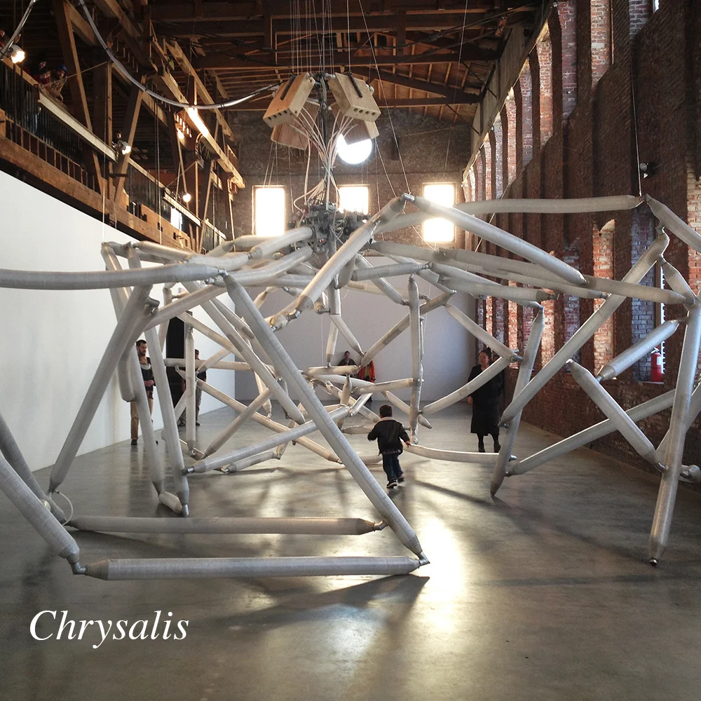 Chrysalis 