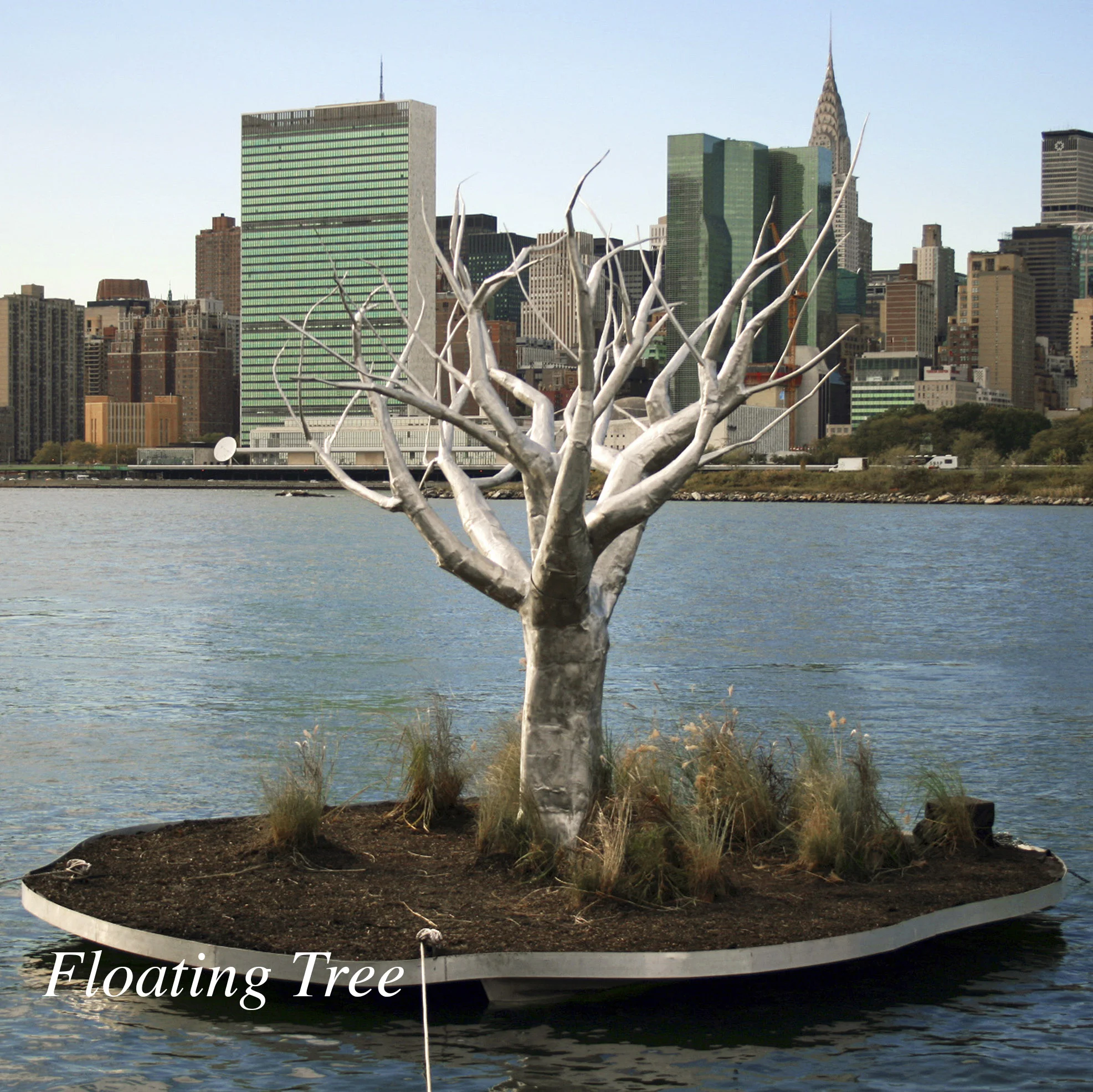 Floating Tree