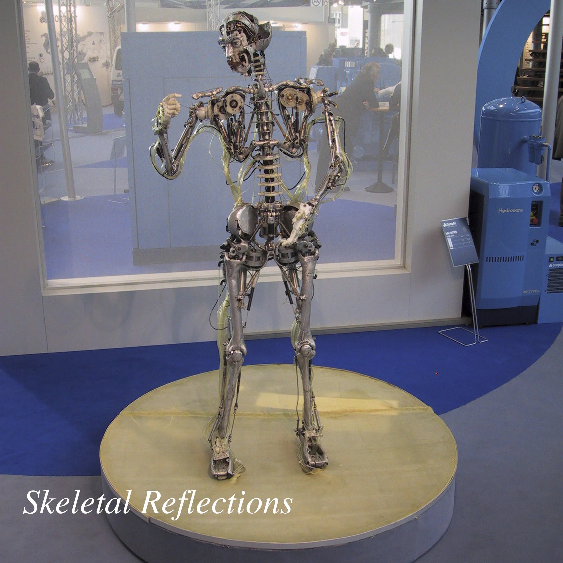 Skeletal Reflections