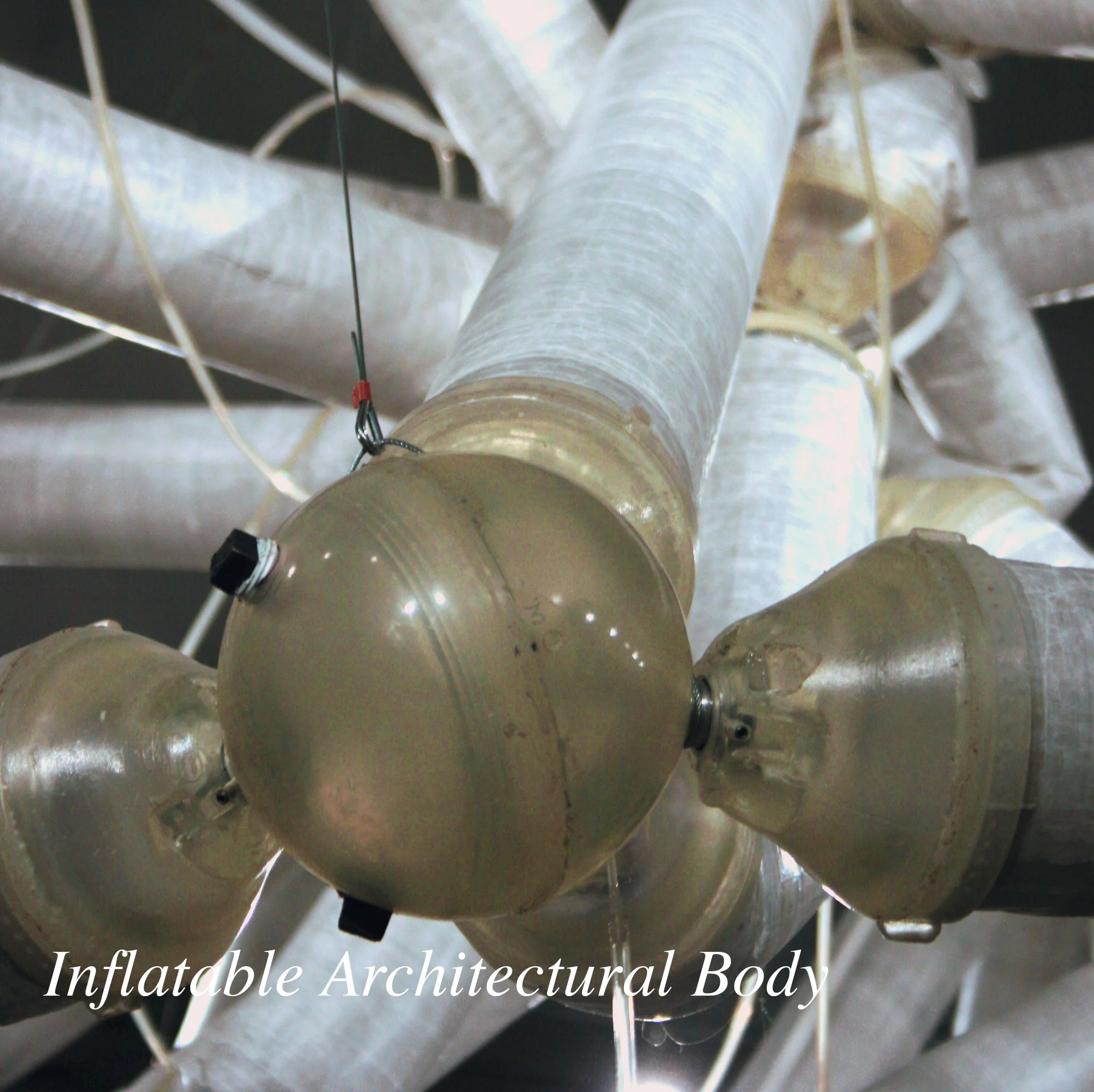 Inflatable Architectural Body