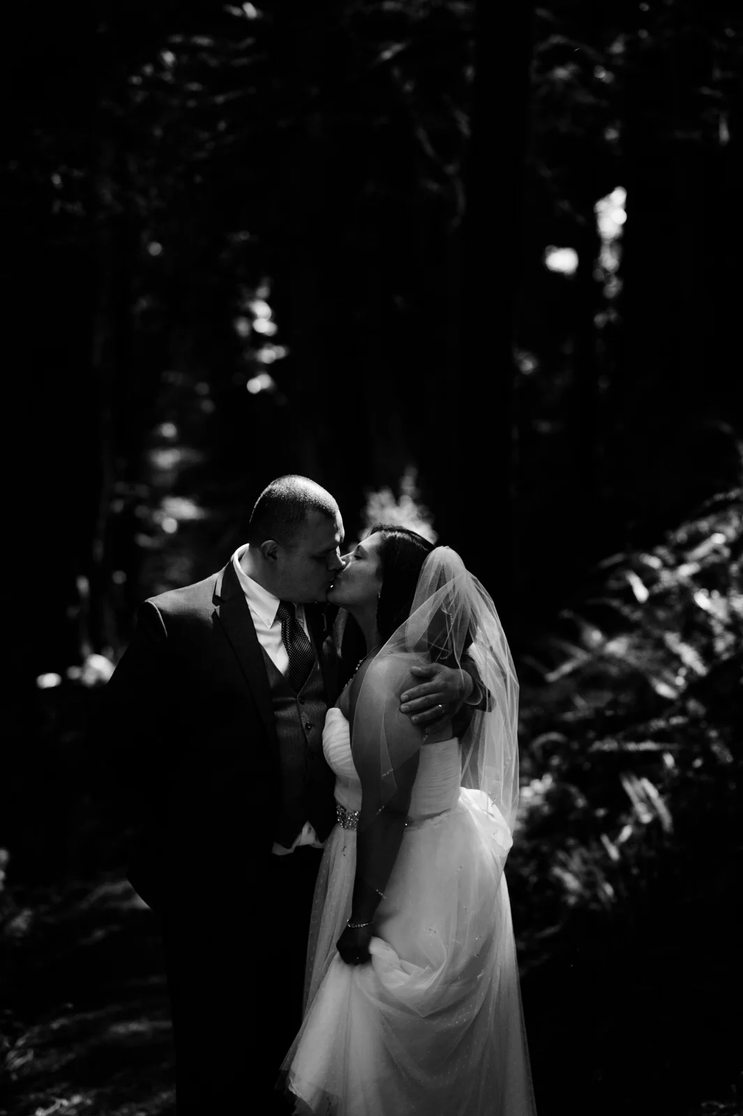 HumboldtCountyRedwoodElopementLowlight-2.jpg