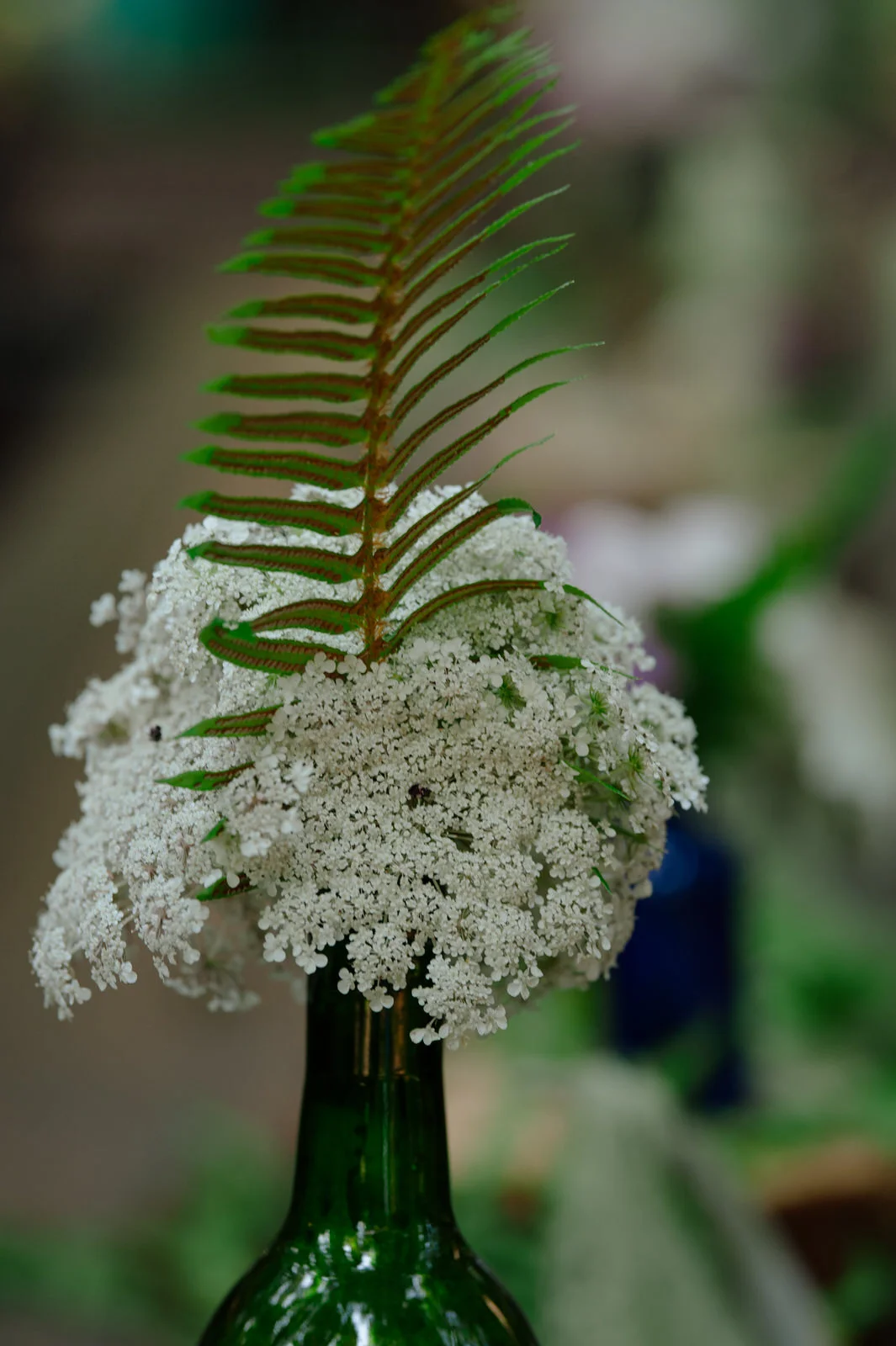 PamplinGroveWedding_Reception-KS-7.jpg