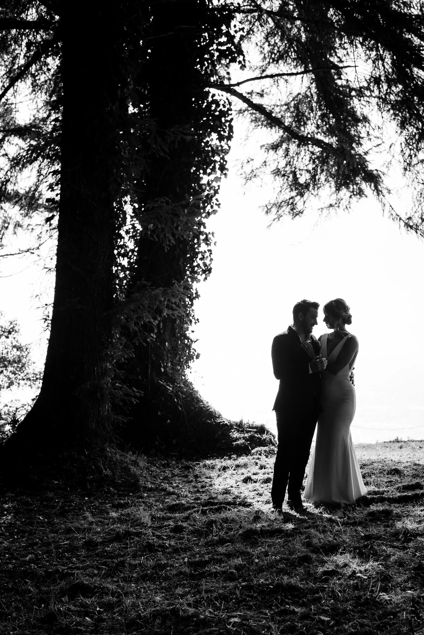 CaliforniaRedwoodDestinationWedding_HumboldtWeddingPhotographer-40.jpg