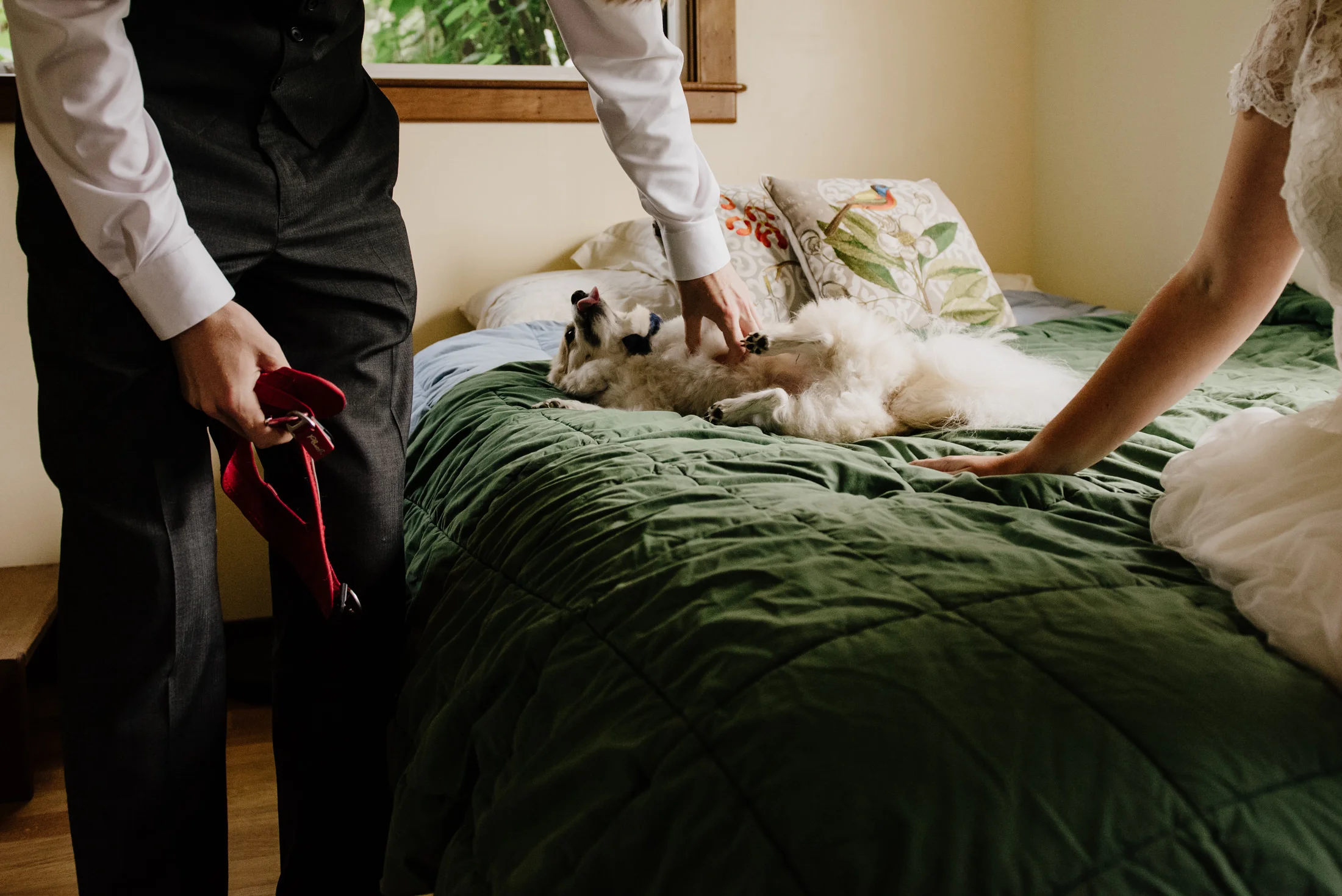 HumboldtWeddingPhotographer_MckinleyvilleBackyard-6-2.jpg