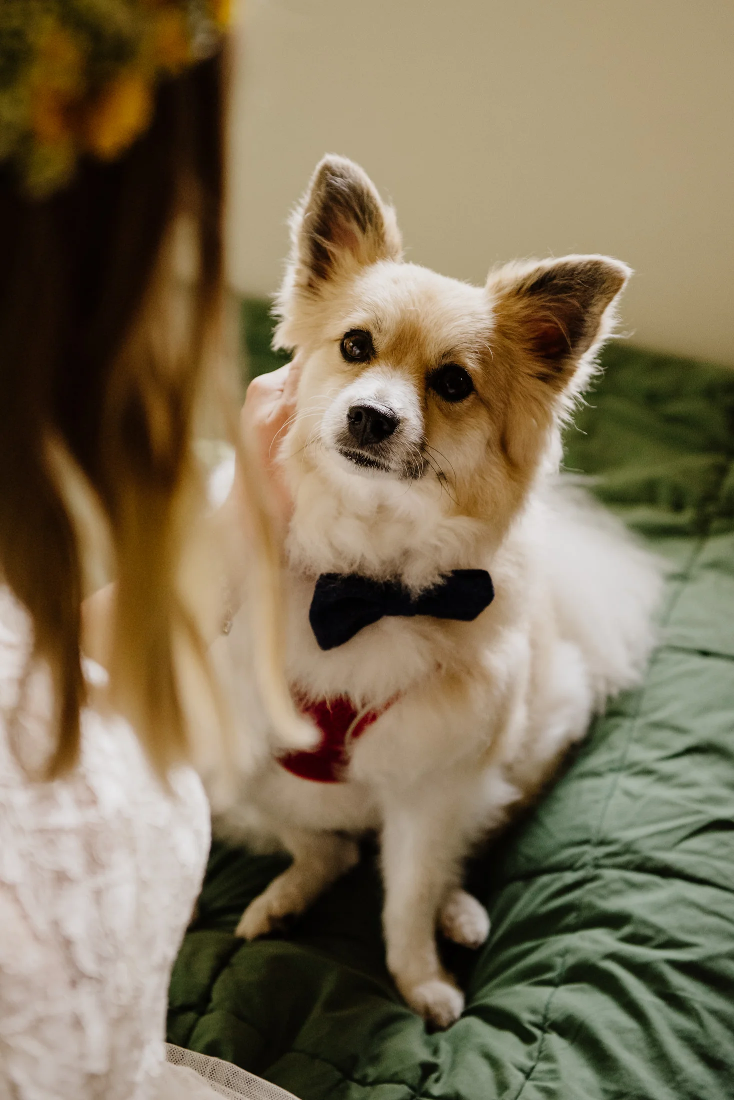HumboldtWeddingPhotographer_MckinleyvilleBackyard-13.jpg