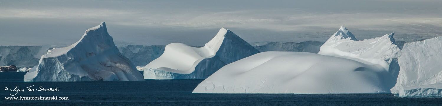 Galleons_Antarctica_Simarski_2.jpg