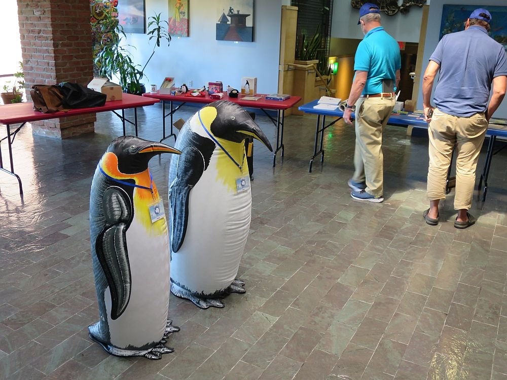 Penguins in Lobby.jpg