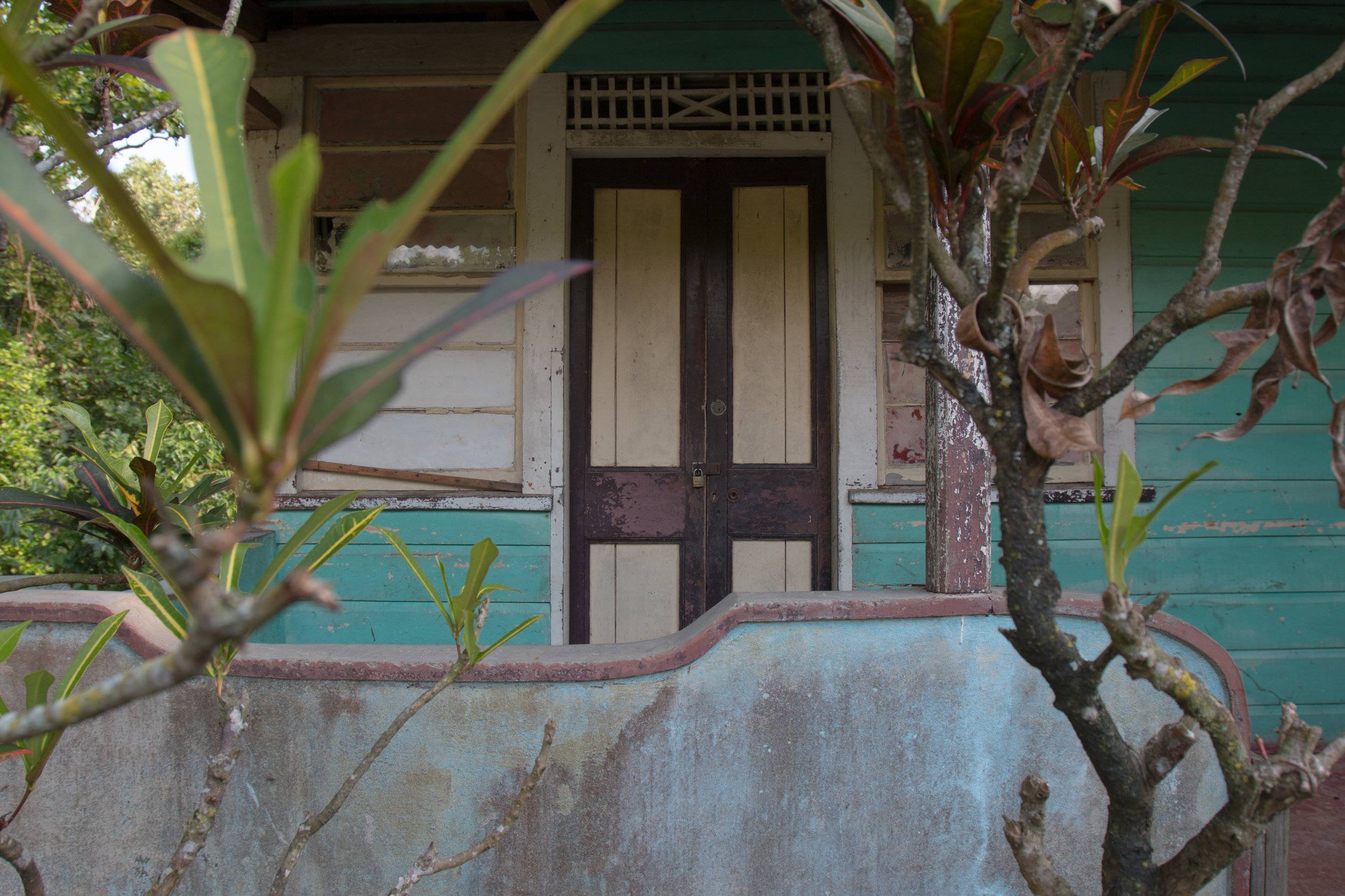 Jamaica edits for blog-24.jpg