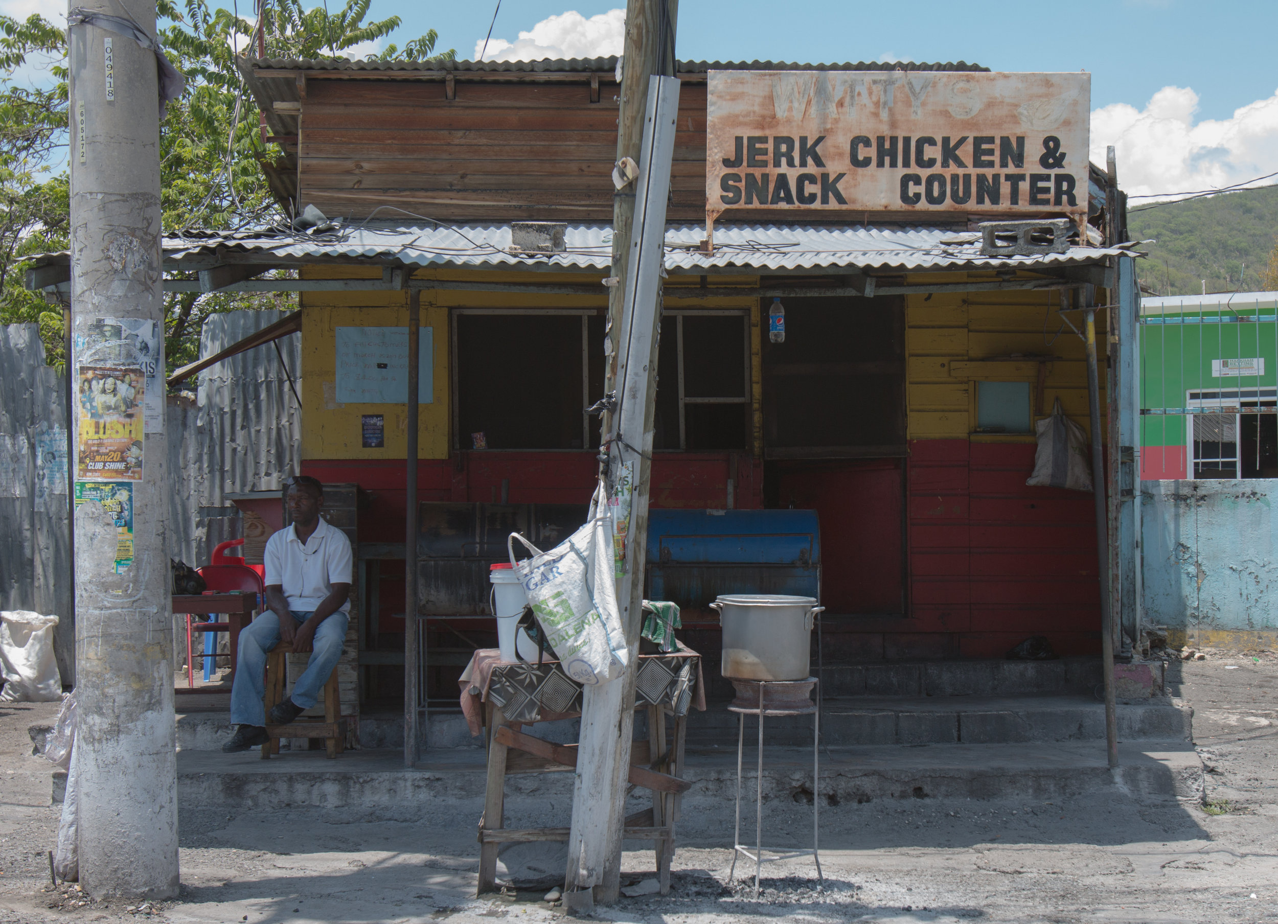 Jamaica edits for blog-6.jpg