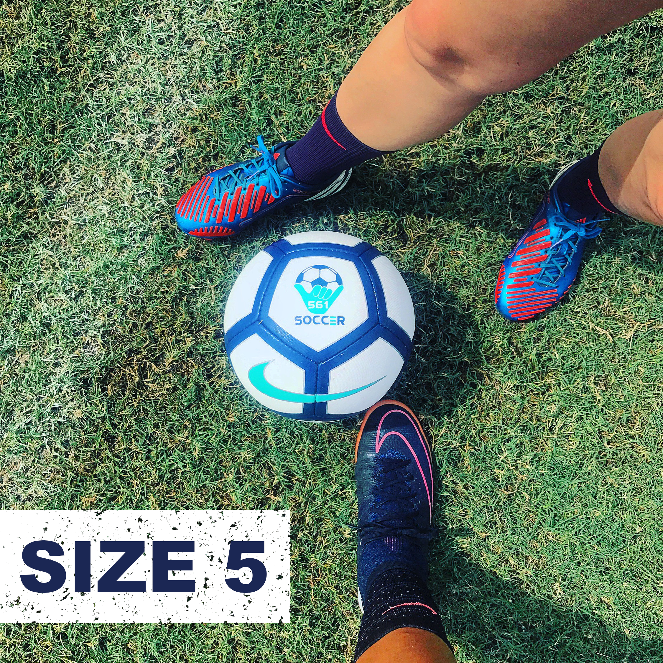 size5.png