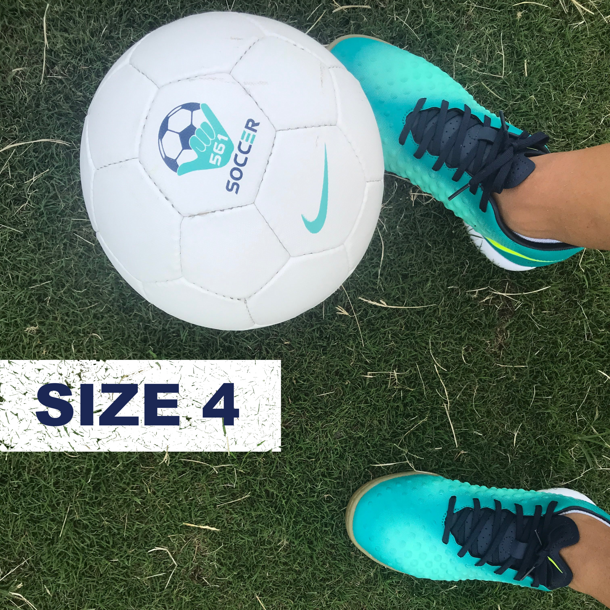 size4a.png
