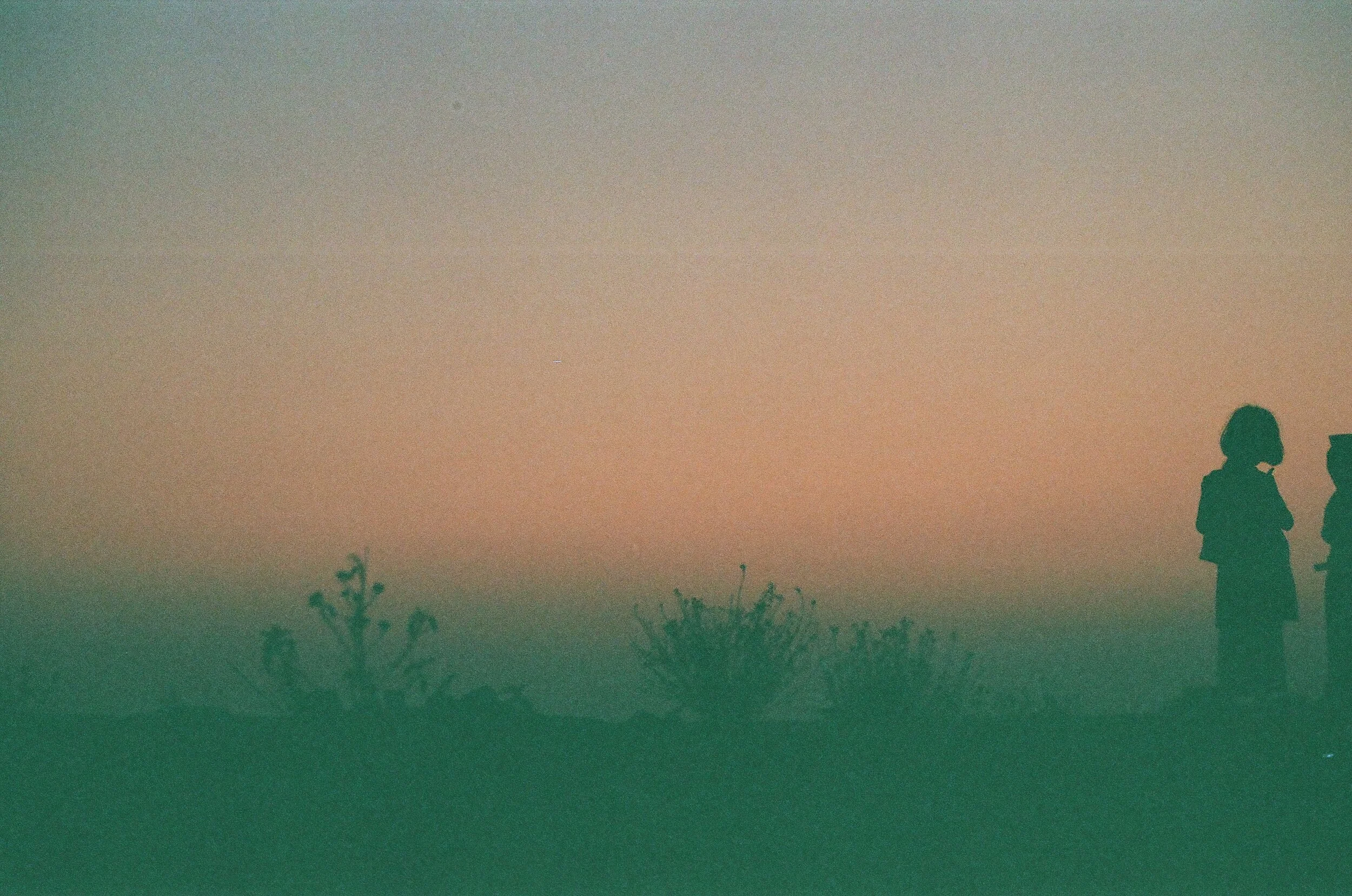 000002320021.jpg