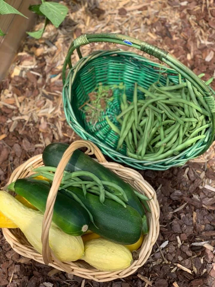 Community Gardens.jpg