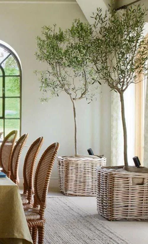 MY DOMAINE