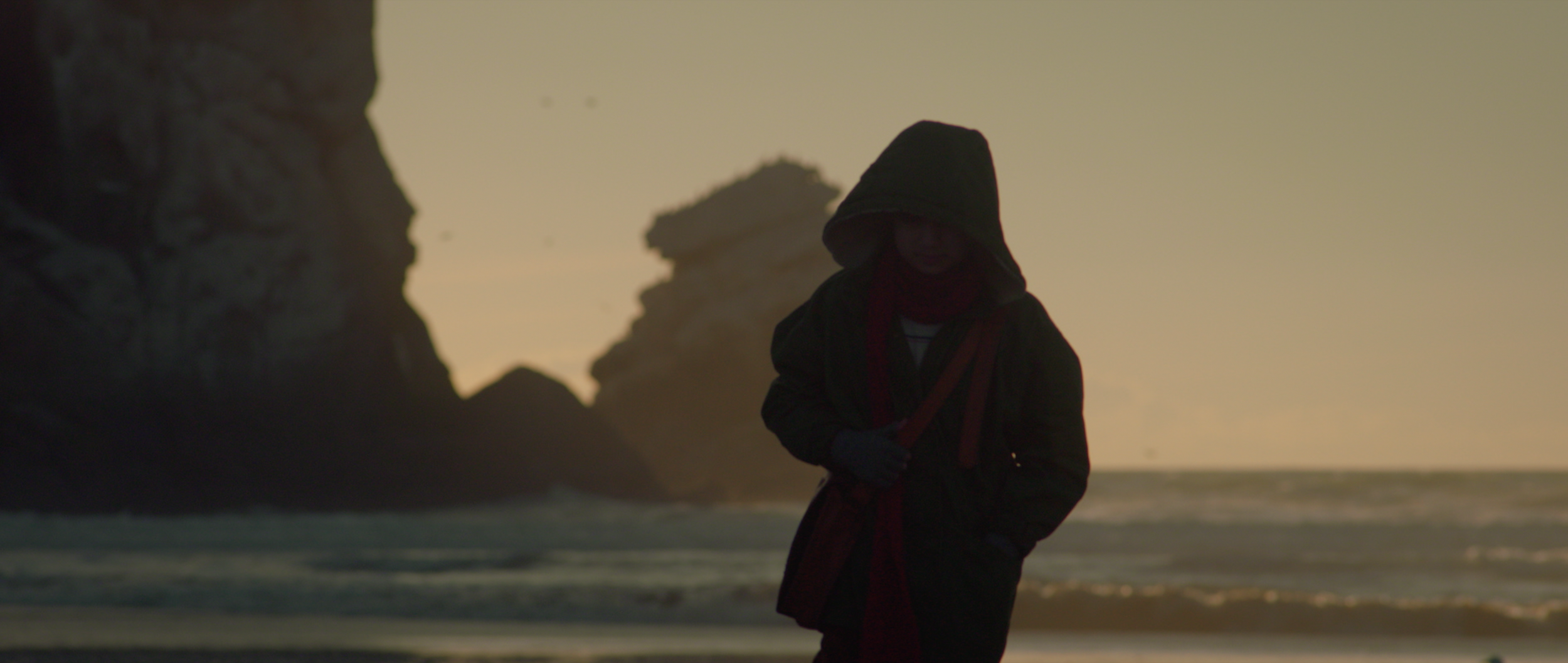 Screen Shot 2025-11-14 at 8.07.57 PM copy.png