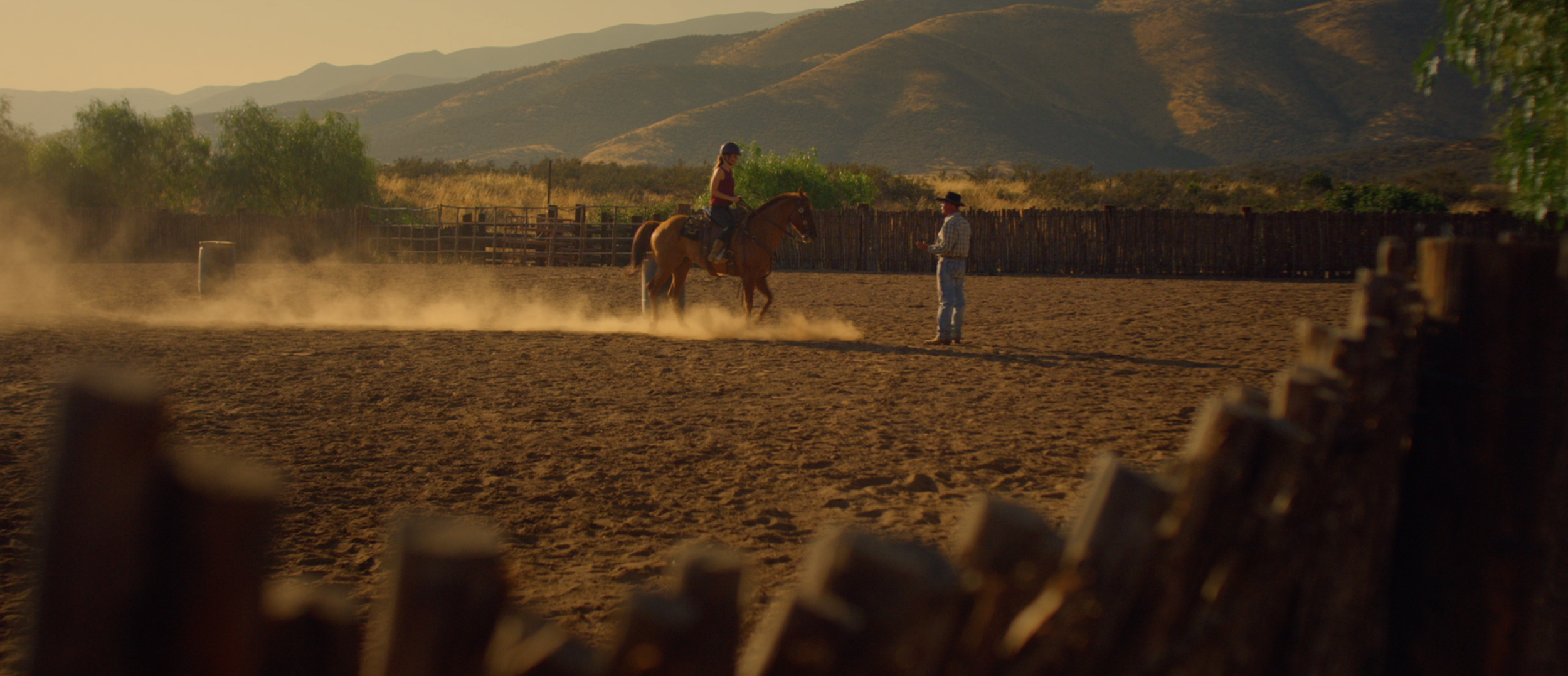 Screen Shot 2019-01-07 at 8.47.23 PM.png