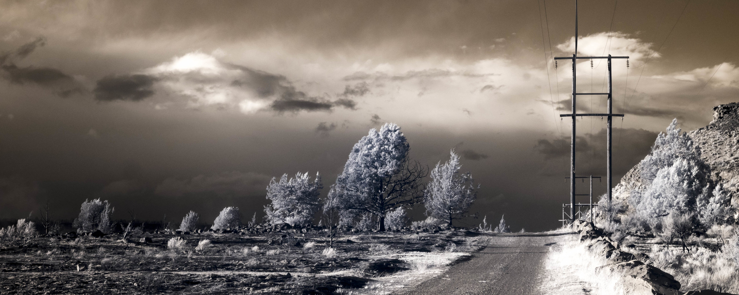 "Dust Storm"