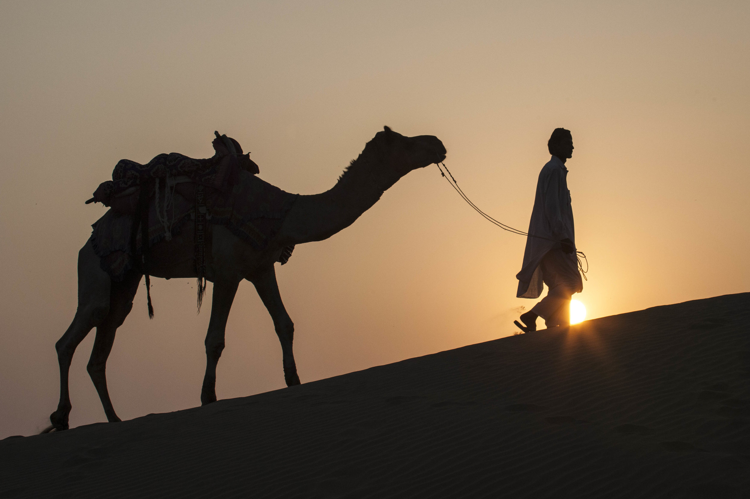 "Camel and Man at Sunset"