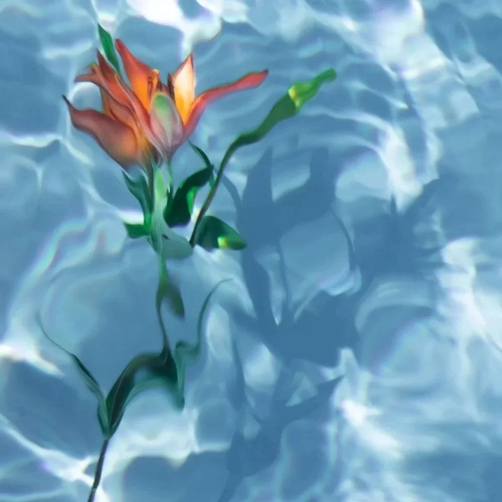 ORANGE LILY & SHADOW
