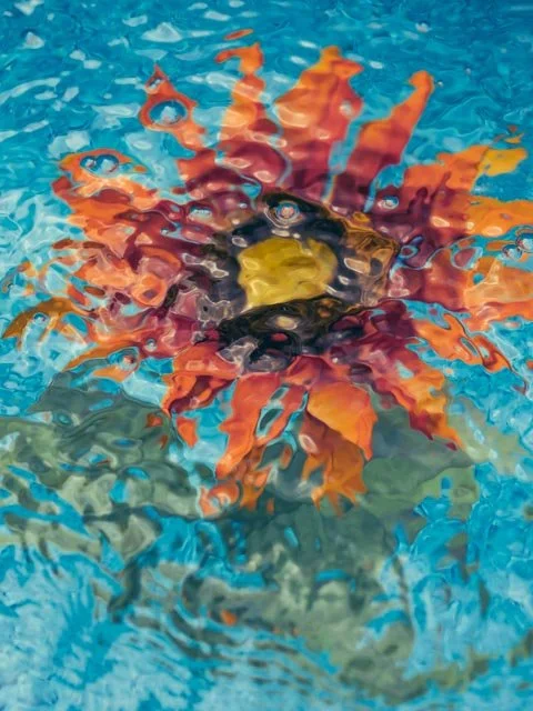 ORANGE SUNFLOWER & RINGS #2