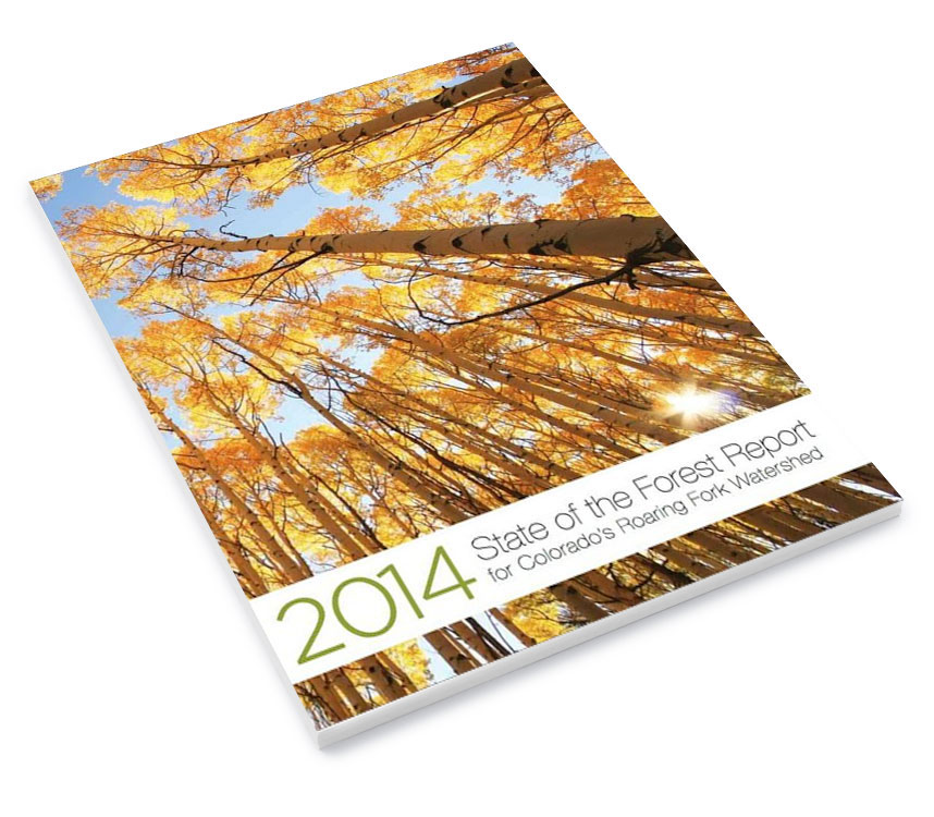 Forest-Report-Cover2014.jpg
