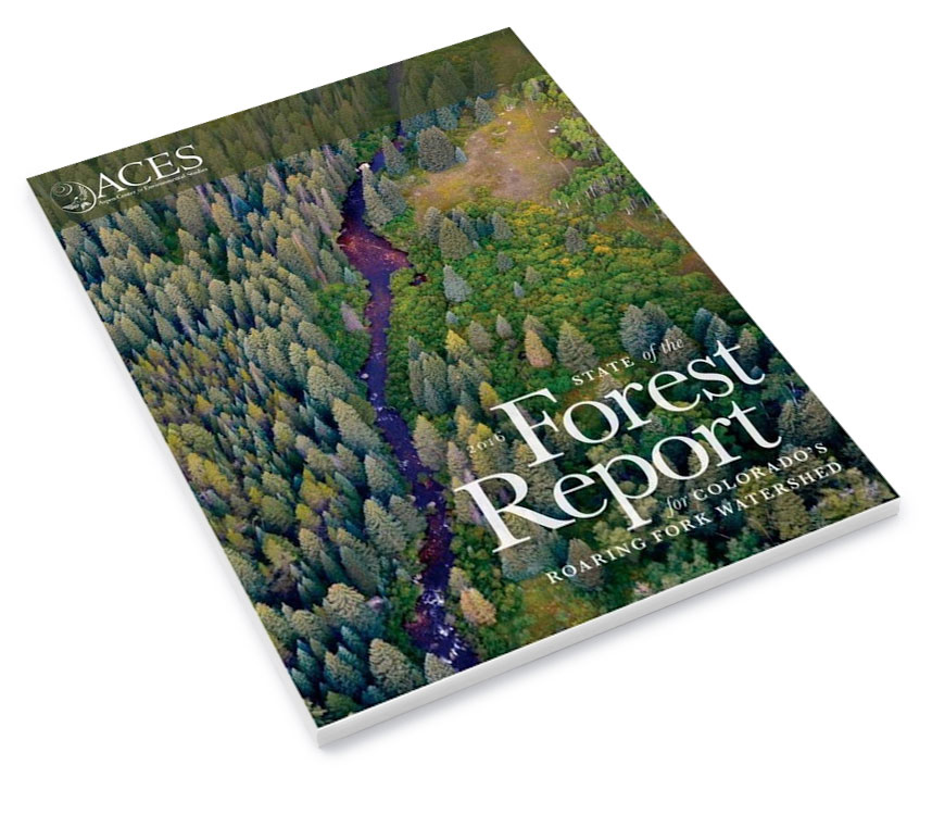 Forest-Report-Cover.jpg