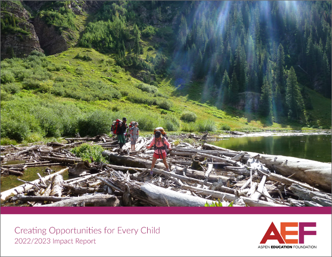 Layer 4.png