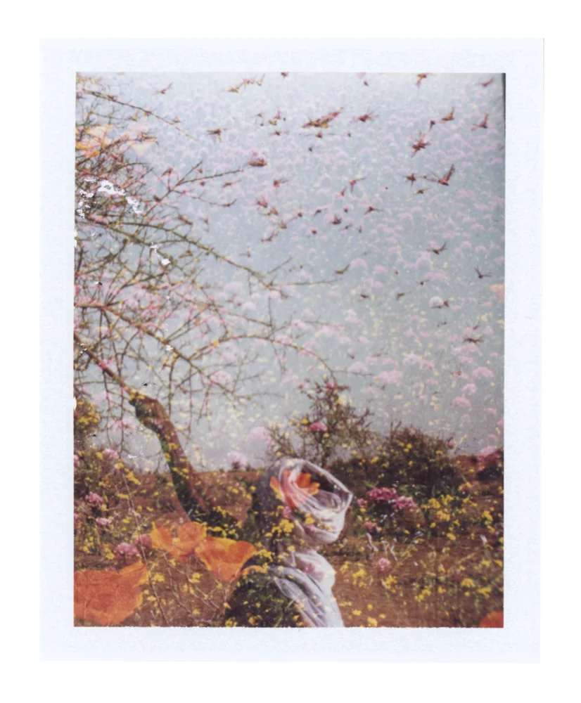 E. Swarm, 2013.jpg