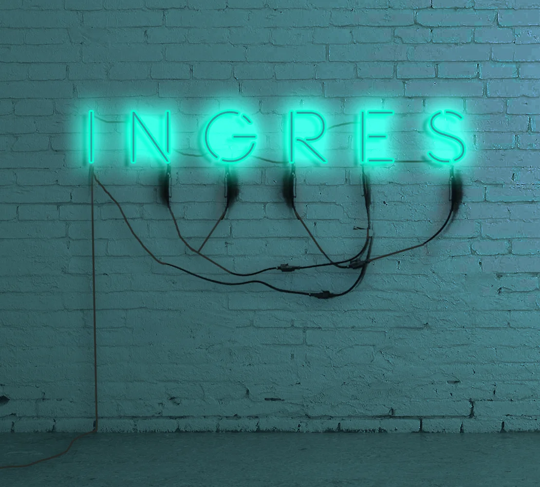 Mock up for a Neon Sculpture, 2015