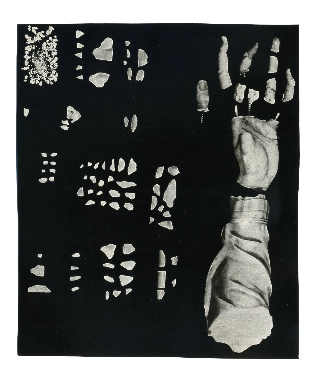 arm and pieces.jpg