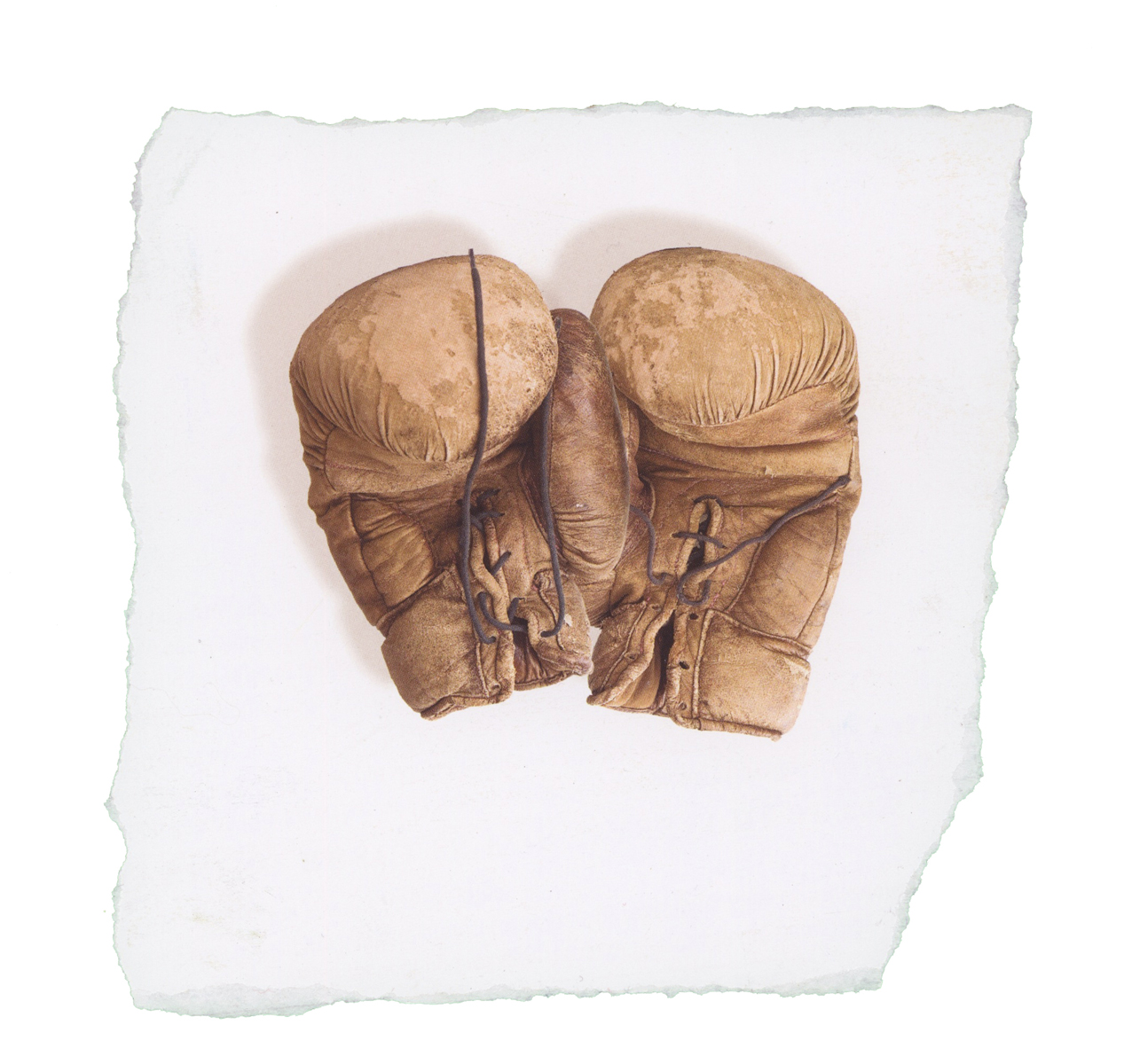 Boxing Gloves.jpeg